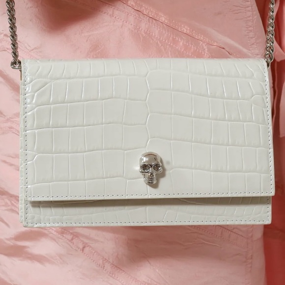 Alexander McQueen crossbody - Picture 1 of 2